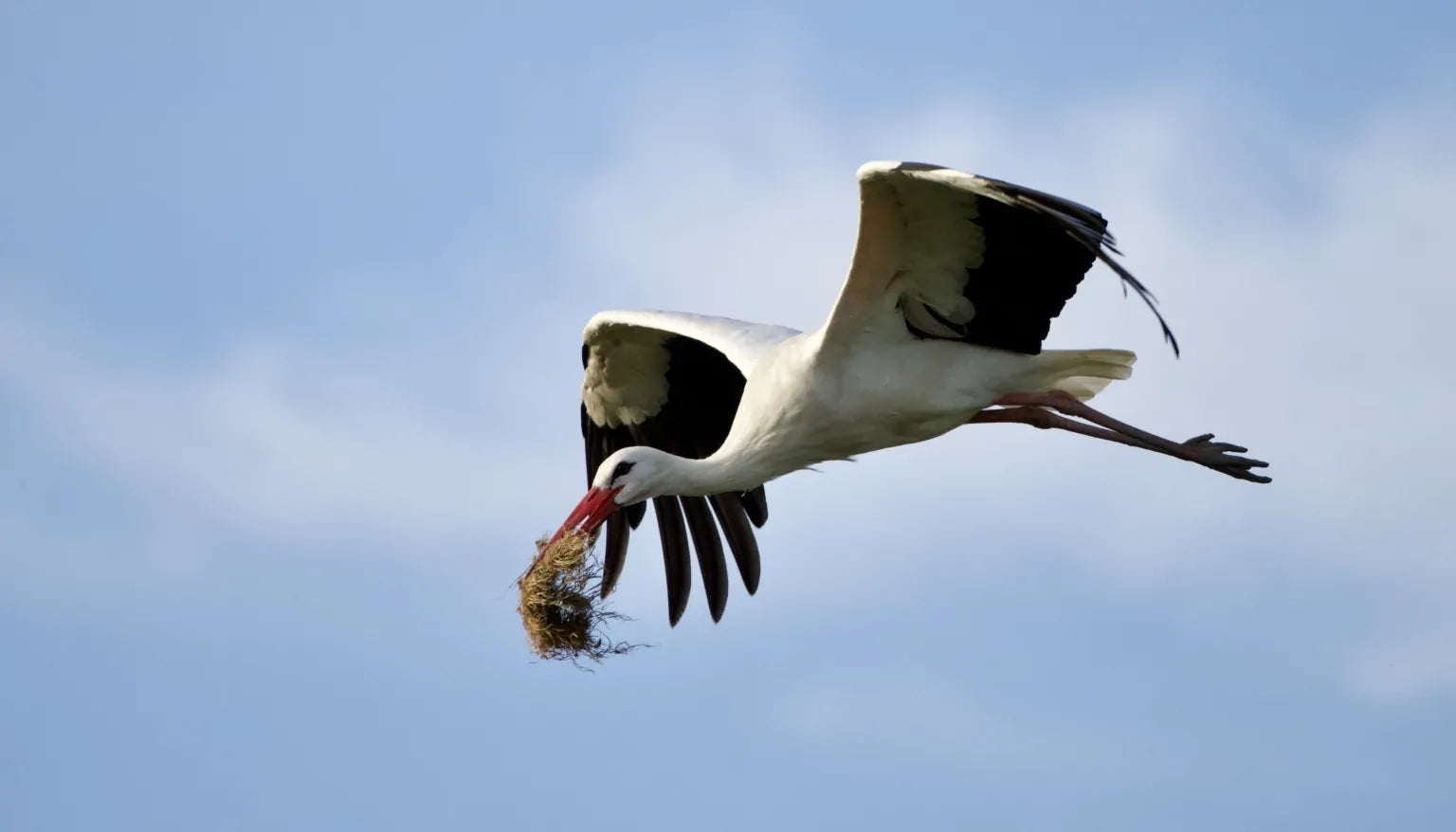 My Favourite UK Nature Sites