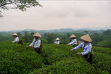Travel with Leica: Northern Vietnam Visual Journey