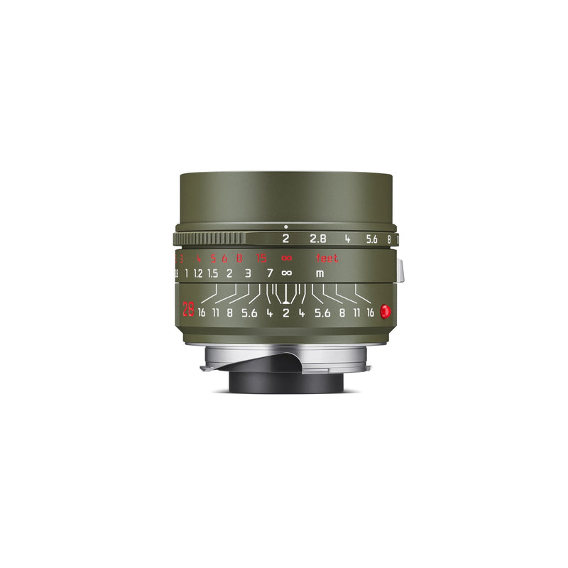 Leica Summicron-M 28 f/2 ASPH., Safari