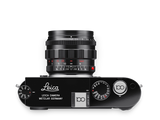 Soft Release Button, Brass, silver chrome, 100 YEARS OF LEICA