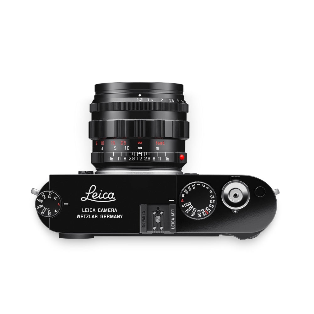 M11, glossy black paint finish