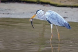 Leica Explore: Mastering Wildlife Photography
